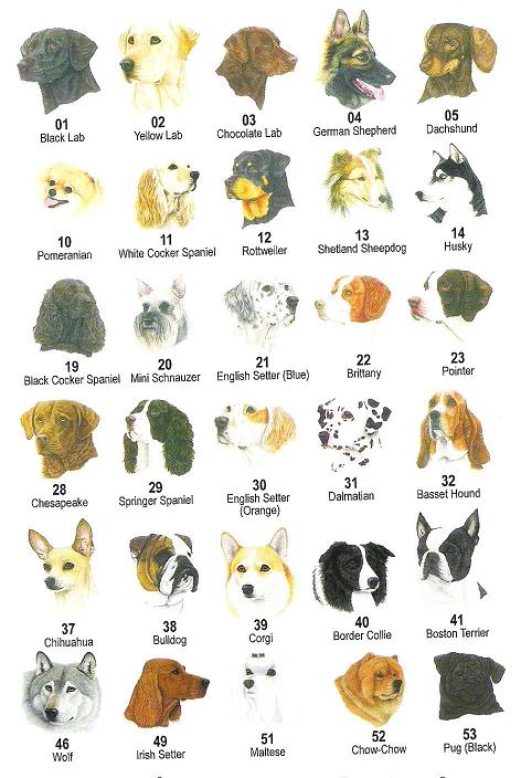 breeds of dog painting